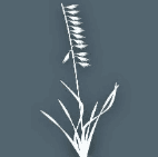 Resource & Land Management, Inc.