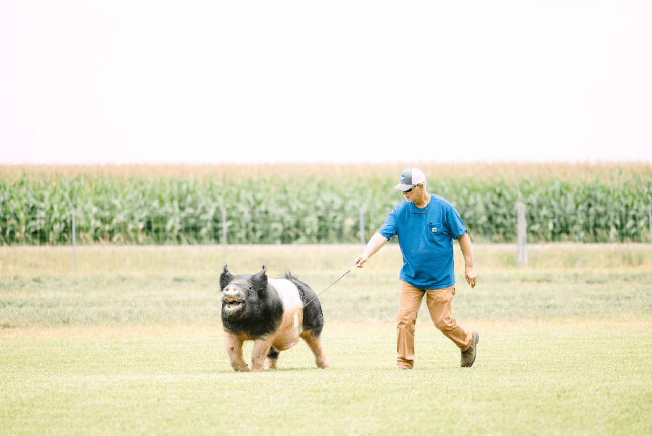 HF Genetics gallery 3