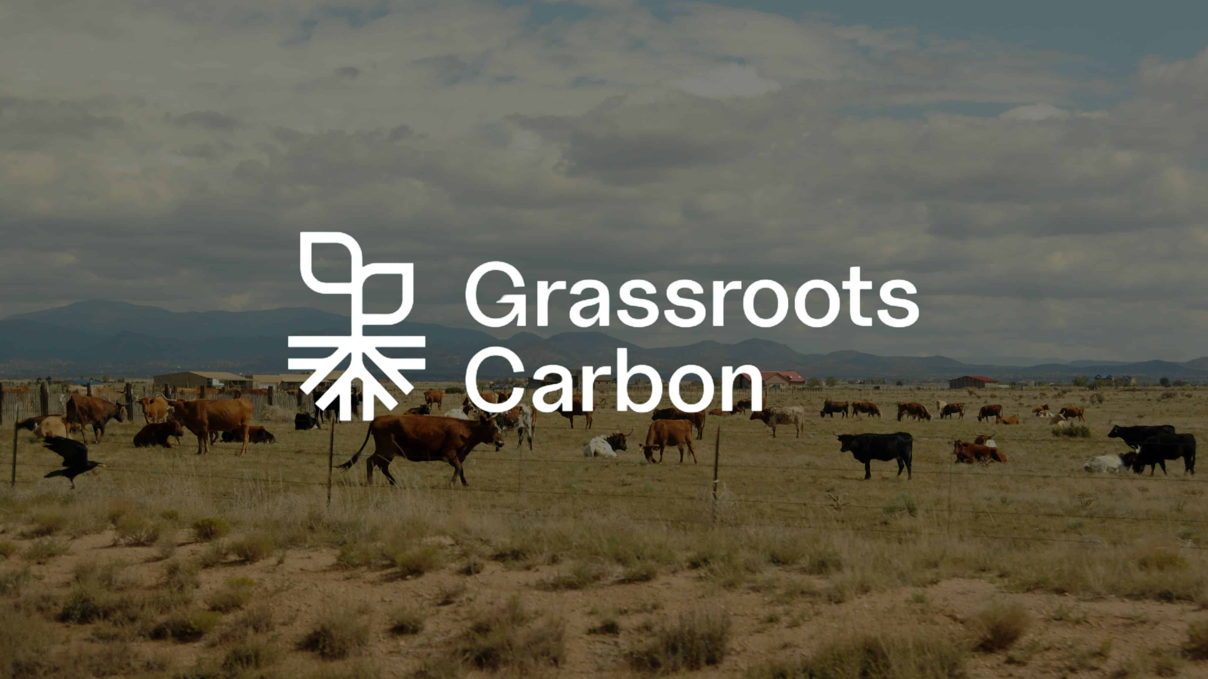 Grassroots Carbon Sustainable Ranching, Rewarded